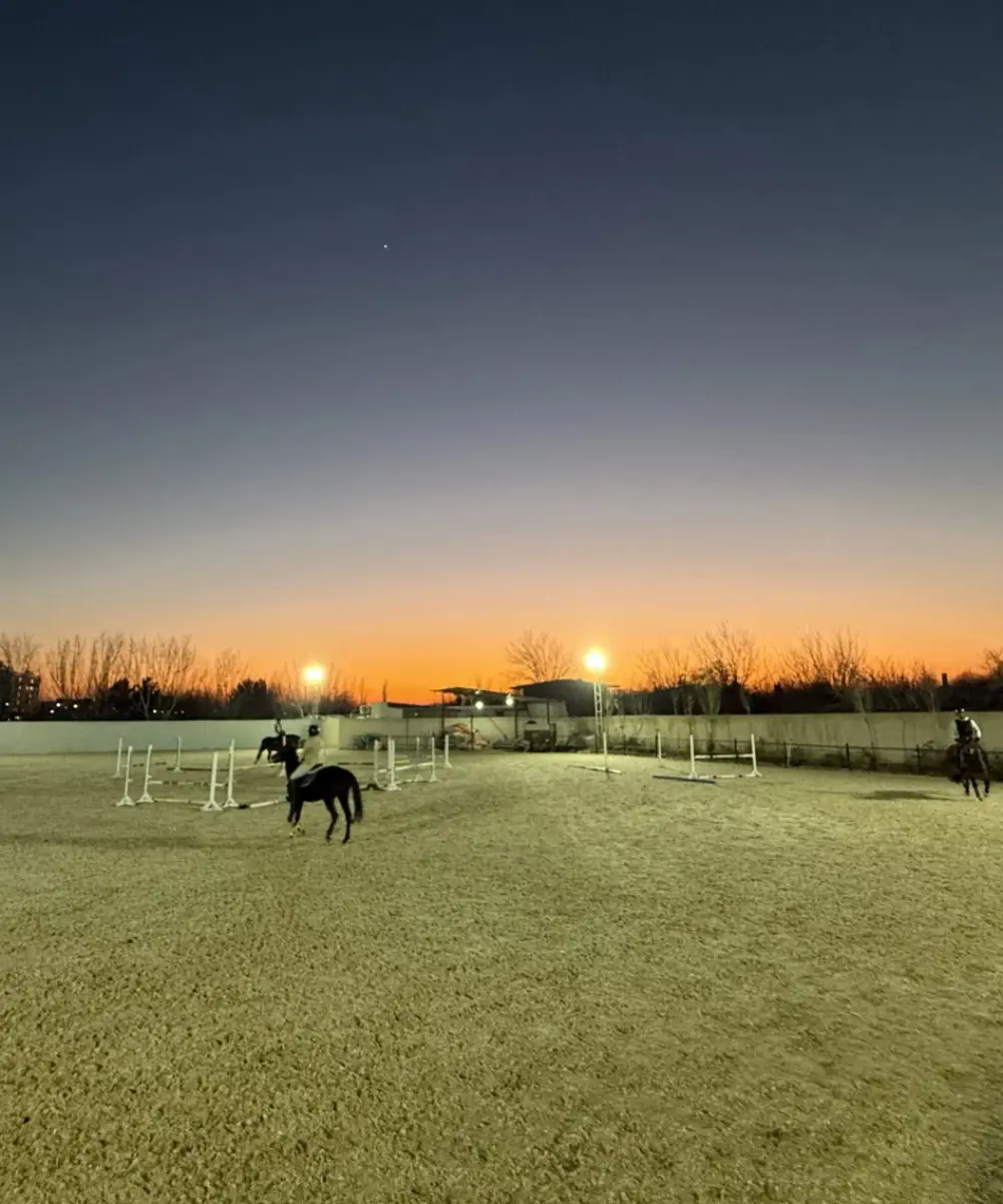 اسب‌سواری، تجربه‌ی شکوه و نجابت-4