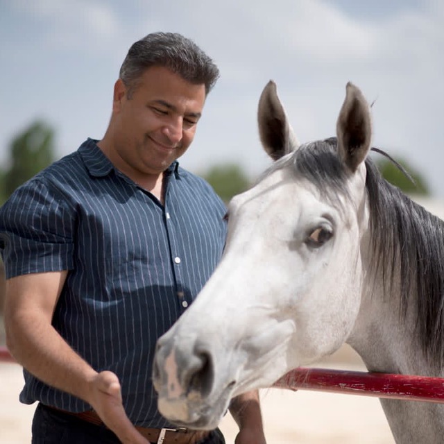 باشگاه سوارکاری  یال