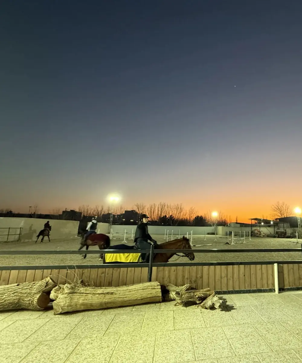 اسب‌سواری، تجربه‌ی شکوه و نجابت-2