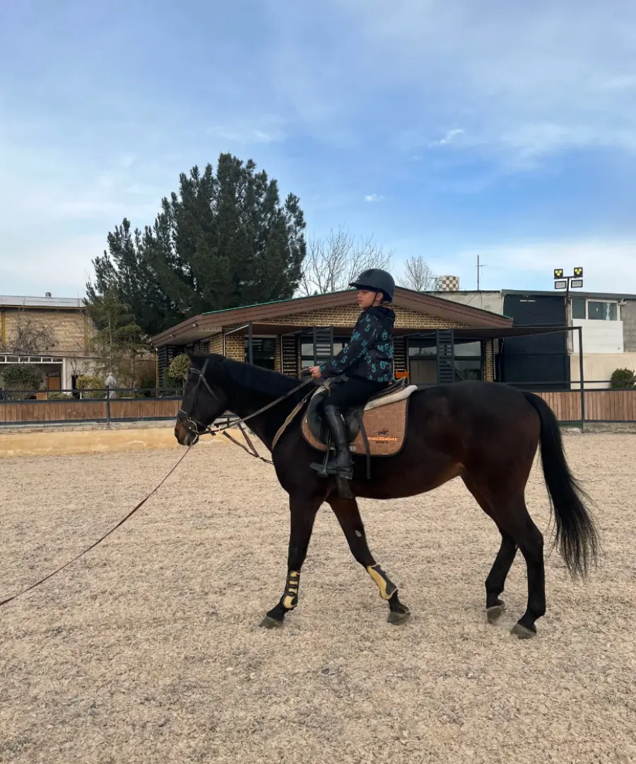 اسب‌سواری، تجربه‌ی شکوه و نجابت-3